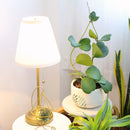 6 inch trailing hoya kerrii heart (at least 3+ leaves) live houseplant for sale, fully leafed trailing hoya kerrii with at least three glossy emerald hearts, thick vining succulent stems in a standard grower pot ready to trail or hang, low-maintenance care with infrequent watering and bright indirect light needs, slow-growing long-lived tropical vine with heirloom quality, an elegant romantic home accent with bohemian appeal, a perfect heartfelt gift for valentines day anniversaries or birthdays