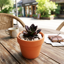 Top Dressing - Light Pastel