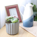 Succulent Arrangement in Ceramic Pot, rosette succulents, colorful succulents, stunning succulent arrangement for home and office decor, Random Succulents in Ceramic Faux Cement Planter
