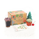 Succulents for Sale, Types of Succulents, Succulents Shop in California, Succulents and Cactus Plants, Cactus Box, Subscription Box with Care Instruction, Succulent Subscription Box