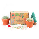Succulent Subcription Boxes, Succulent Subscription Boxes, Succulents Box Monthly, Succulents for Sale, Succulents Box with Care Guide, Cactus Boxes, Succulent Plant