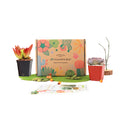 Succulents for Sale, Types of Succulents, Succulents Shop in California, Succulents and Cactus Plants, Cactus Box, Subscription Box with Care Instruction, Succulent Subscription Box