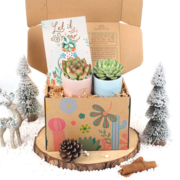 Gift Box For Mom with Succulent  Gift Set for First Time Mom