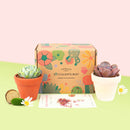 Succulent Subcription Boxes, Succulent Subscription Boxes, Succulents Box Monthly, Succulents for Sale, Succulents Box with Care Guide, Cactus Boxes, Succulent Plant