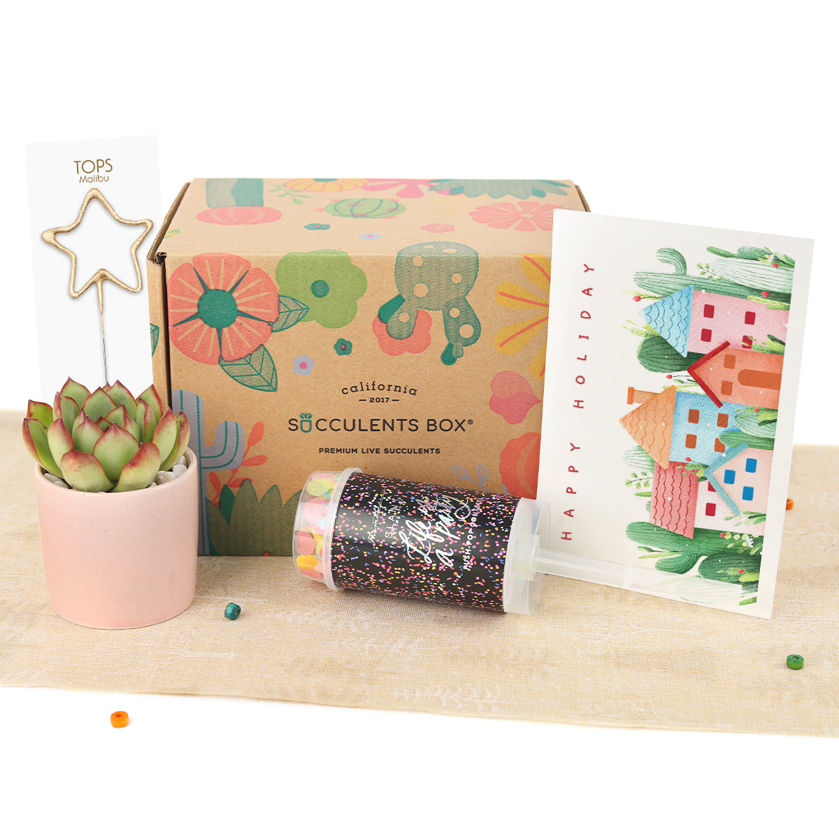 Holiday Gift Box - 1 Succulent 1 Sparkler and 1 Confetti Popper