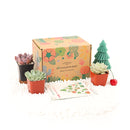 Succulent Gift Boxes, Succulent Subcription Boxes for sale, Succulents for Sale, Types of Succulents, Succulents Shop in California, Succulents and Cactus Plants, Cactus Box, Subscription Box with Care Instruction, Succulent Subscription Gift Box Monthly