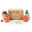 Succulents for Sale, Types of Succulents, Succulents Shop in California, Succulents and Cactus Plants, Cactus Box, Subscription Box with Care Instruction, Succulent Subscription Box