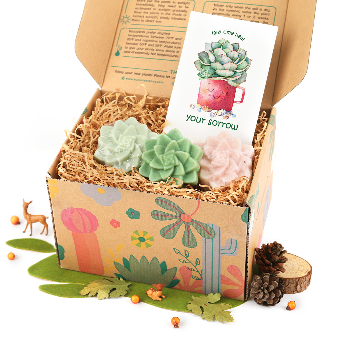 Gift Box -  Set of 3 Rosette Succulent Soaps