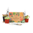 Succulent Gift Boxes, Succulent Subcription Boxes for sale, Succulents for Sale, Types of Succulents, Succulents Shop in California, Succulents and Cactus Plants, Cactus Box, Subscription Box with Care Instruction, Succulent Subscription Gift Box Monthly