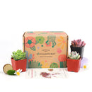 Succulent Gift Boxes, Succulent Subcription Boxes for sale, Succulents for Sale, Types of Succulents, Succulents Shop in California, Succulents and Cactus Plants, Cactus Box, Subscription Box with Care Instruction, Succulent Subscription Gift Box Monthly