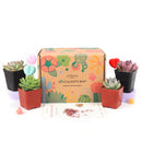 Succulent Gift Boxes, Succulent Subcription Boxes for sale, Succulents for Sale, Types of Succulents, Succulents Shop in California, Succulents and Cactus Plants, Cactus Box, Subscription Box with Care Instruction, Succulent Subscription Gift Box Monthly