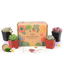 Succulent Gift Boxes, Succulent Subcription Boxes for sale, Succulents for Sale, Types of Succulents, Succulents Shop in California, Succulents and Cactus Plants, Cactus Box, Subscription Box with Care Instruction, Succulent Subscription Gift Box Monthly