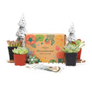 Succulent Gift Boxes, Succulent Subcription Boxes for sale, Succulents for Sale, Types of Succulents, Succulents Shop in California, Succulents and Cactus Plants, Cactus Box, Subscription Box with Care Instruction, Succulent Subscription Gift Box Monthly