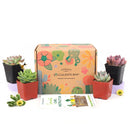 Succulent Gift Boxes, Succulent Subcription Boxes for sale, Succulents for Sale, Types of Succulents, Succulents Shop in California, Succulents and Cactus Plants, Cactus Box, Subscription Box with Care Instruction, Succulent Subscription Gift Box Monthly