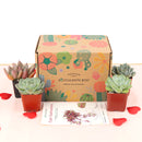 Succulent Gift Boxes, Succulent Subcription Boxes for sale, Succulents for Sale, Types of Succulents, Succulents Shop in California, Succulents and Cactus Plants, Cactus Box, Subscription Box with Care Instruction, Succulent Subscription Gift Box Monthly
