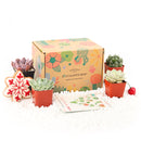 Succulent Gift Boxes, Succulent Subcription Boxes for sale, Succulents for Sale, Types of Succulents, Succulents Shop in California, Succulents and Cactus Plants, Cactus Box, Subscription Box with Care Instruction, Succulent Subscription Gift Box Monthly