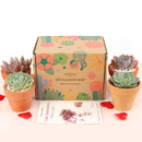 Succulents for Sale, Types of Succulents, Succulents Shop in California, Succulents and Cactus Plants, Cactus Box, Subscription Box with Care Instruction, Succulent Subscription Box
