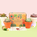 Succulents for Sale, Types of Succulents, Succulents Shop in California, Succulents and Cactus Plants, Cactus Box, Subscription Box with Care Instruction, Succulent Subscription Box