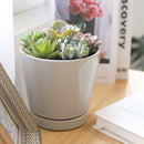 Succulent Arrangement in Ceramic Pot, rosette succulents, colorful succulents, stunning succulent arrangement for home and office decor