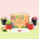 Succulent Gift Boxes, Succulent Subcription Boxes for sale, Succulents for Sale, Types of Succulents, Succulents Shop in California, Succulents and Cactus Plants, Cactus Box, Subscription Box with Care Instruction, Succulent Subscription Gift Box Monthly
