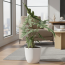 buy alocasia 'jacklyn' live plant 8" pot online, large deeply divided antler-shaped leaves in vibrant green, creamy petioles with purple streaks, sculptural jungle-grown silhouette, high humidity loving indoor tropical, stunning statement floor plant for living rooms or offices, an extraordinary gift for rare plant collectors