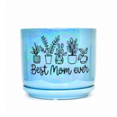 A light blue ceramic plant pot with a matching saucer, decorated with black line drawings of potted plants and the text 'Best Mom ever', sitting on a light-colored table in a bright, softly blurred living room setting.