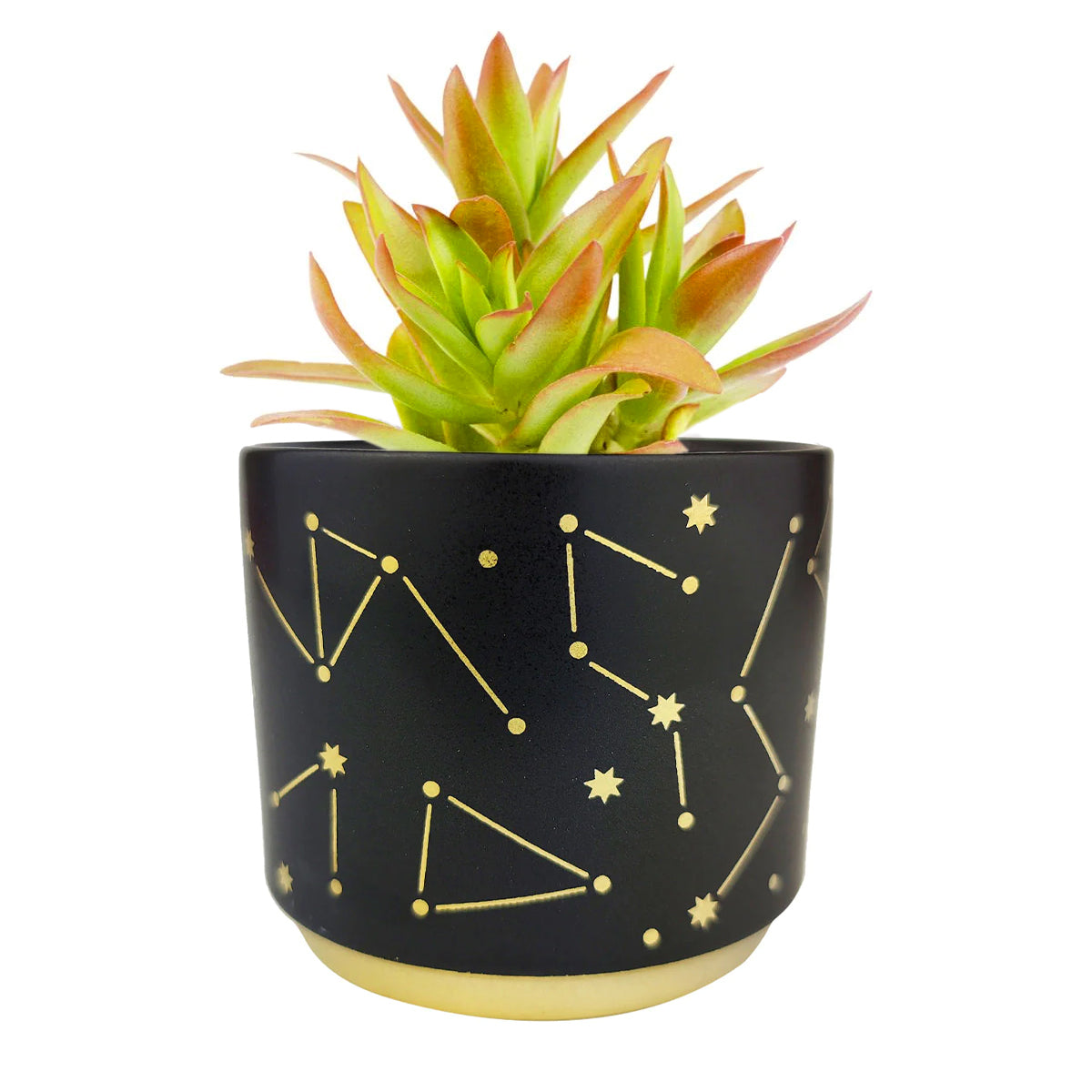Celestial Pot, succulent pots for table decoration, cactus and succulent planters, succulent pots for windowsill