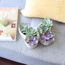 9 inch Butterfly Succulent Arrangement, Creative Succulent Planter for Sale, Live Succulent Gift Ideas, succulent arrangement for home decor