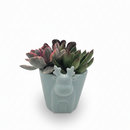 christmas gifts, unique christmas gifts for adults, top christmas gifts for 2025, best gifts 2025 for her