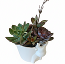 christmas ideas gifts, ideas for christmas gifts, christmas gifts for women, christmas gifts for women under $50