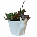 christmas ideas gifts, ideas for christmas gifts, christmas gifts for women, christmas gifts for women under $50