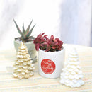 4 inch crassula red pagoda shark tooth live succulent with custom pot for sale, layered triangular leaves edged with bright crimson, pagoda-shaped stacked column growth form, foliage brightens to fiery red in cool winter sun, drought hardy and beginner safe, bold architectural decor for indoor or outdoor containers, distinctive and long-lasting plant gift