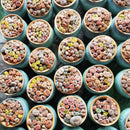 Buy an 8-pack of Lithops live plants online. Each living stone features unique markings and earthy colors for a natural, sculptural look. Easy to care for, they thrive in bright light, gritty well-draining soil, and minimal watering.