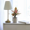 buy chinese evergreen 'wishes' live houseplant 4" pot online, lush oval leaves brushed with hot pink splashes and green edges, thick glossy leaf surface, slow-growing compact form, easy care and beginner friendly, eye-catching colorful accent for home office spaces, a cherished gift symbolizing good fortune