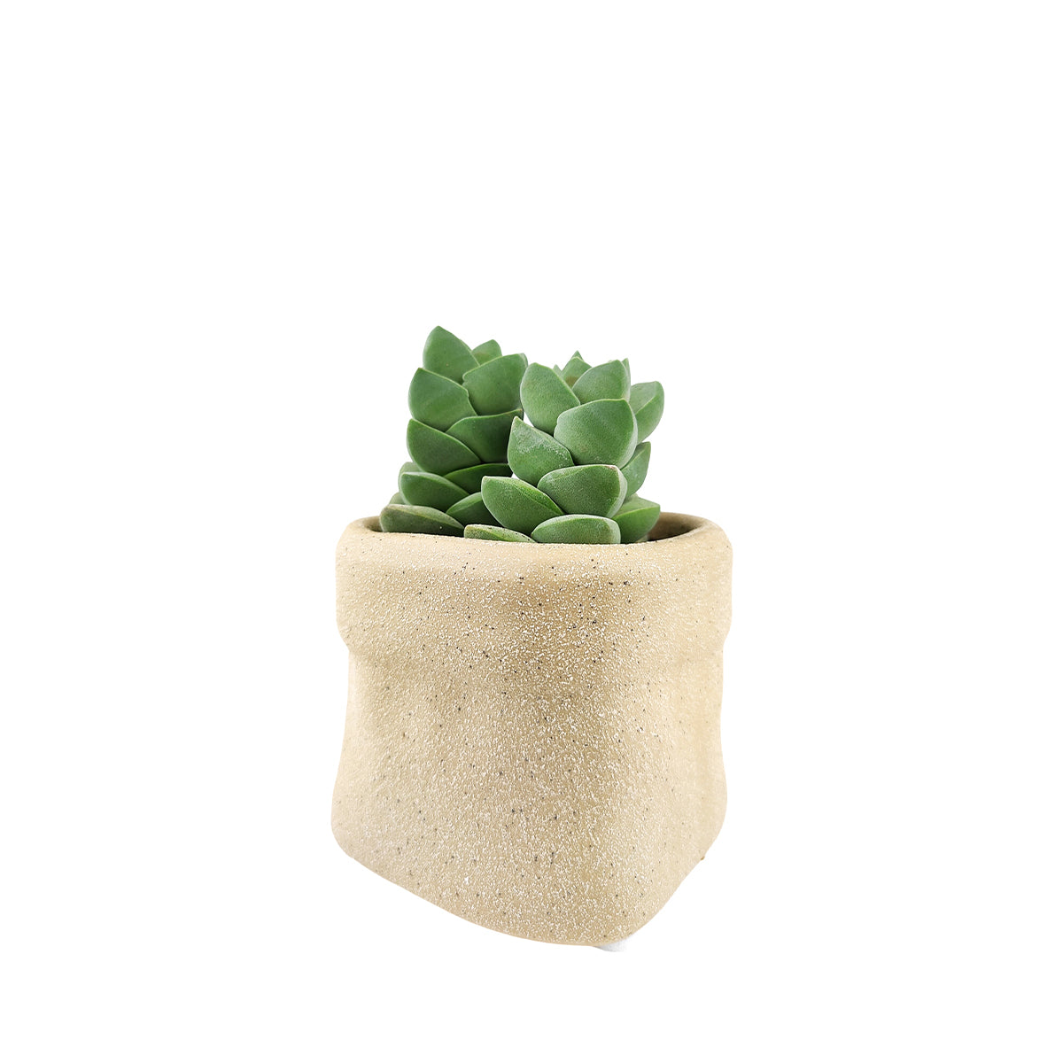 4" Kraft Paper Bag Shape Ceramic Flower & Plant Pot, 4" Ceramic Kraft Paper Bag Houseplant Pot, Beige Ceramic Paper Bag Planter for Home Decor Ideas
