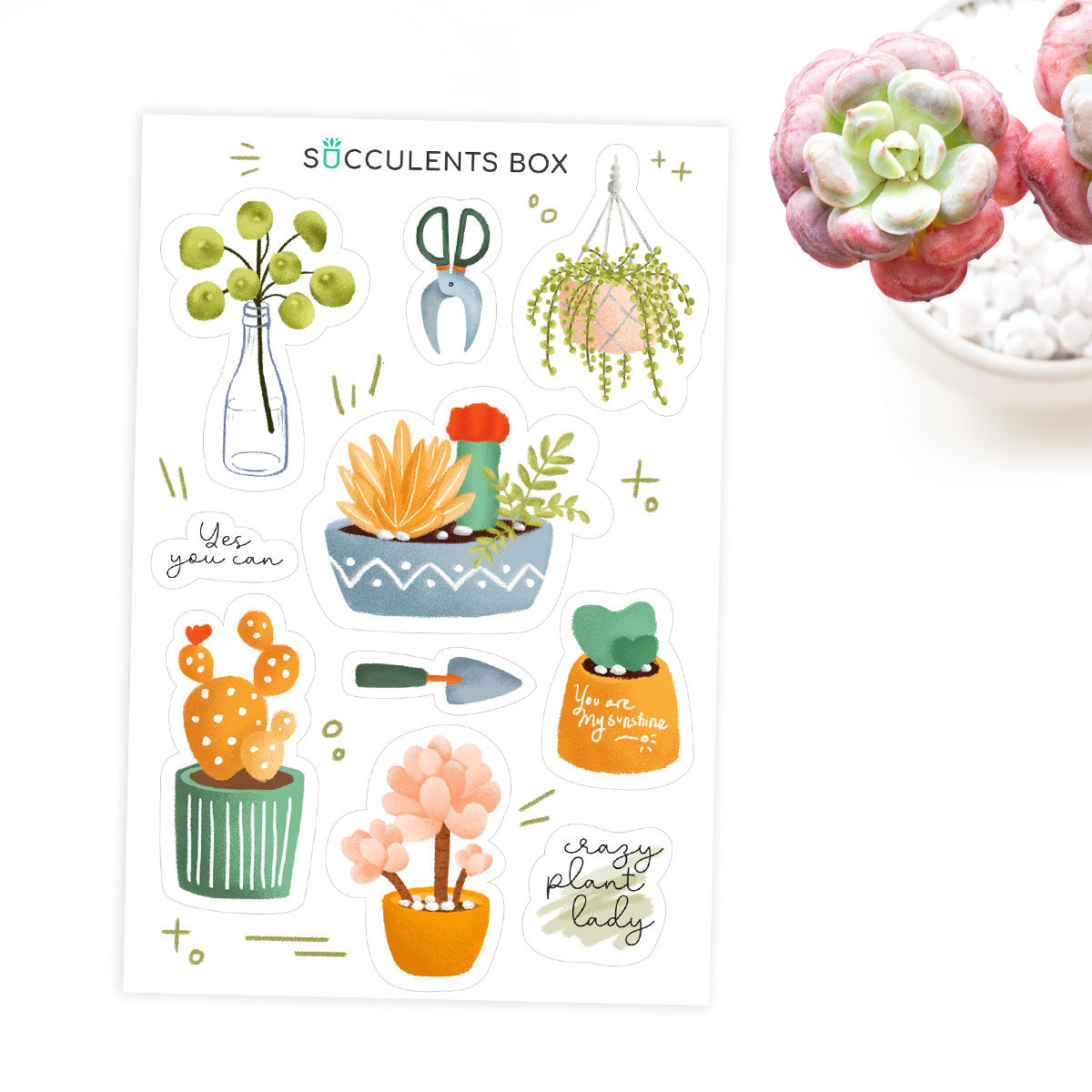 Succulent Planner Sticker for sale, succulent craft ideas, succulent gift ideas, cute plant stickers, decorative scrapbook sticker for sale, Plant Lady Sticker