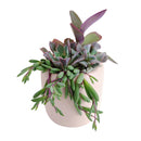 gifts for succulent lovers, succulent bowl arrangement, succulent plant gifts, indoor succulent arrangement ideas, christmas succulent arrangement, valentine's day succulent gifts, send succulent arrangement, mini succulent gifts, mother's day succulent arrangement, Succulent Gift for Men, Thank You Gift Dad, Appreciation Gift for Dad