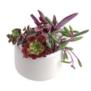 succulent gifts, succulent arrangement ideas, succulent arrangement, how to make a succulent arrangement, succulent arrangement delivery, succulent flower arrangement delivery, teacher appreciation gifts succulent, succulent flower arrangement, unique diy memorial gifts, Succulent Gift for Men, Thank You Gift Dad, Appreciation Gift for Dad