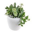 mother's day succulent arrangement, succulent plant arrangement ideas, unique diy gifts, valentines succulent arrangement, small succulent arrangement ideas, holiday succulent gifts, succulent themed gifts, succulent pot arrangement, succulent christmas gifts, cactus succulent arrangement, live succulent arrangement, Succulent Gift for Men, Thank You Gift Dad, Appreciation Gift for Dad