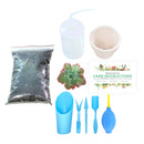 How to use gardening tool kit for growing succulent plants