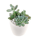 unique diy gifts, valentines succulent arrangement, small succulent arrangement ideas, holiday succulent gifts, succulent themed gifts, succulent pot arrangement, succulent christmas gifts, cactus succulent arrangement, Thank You Gift Dad, Appreciation Gift for Dad