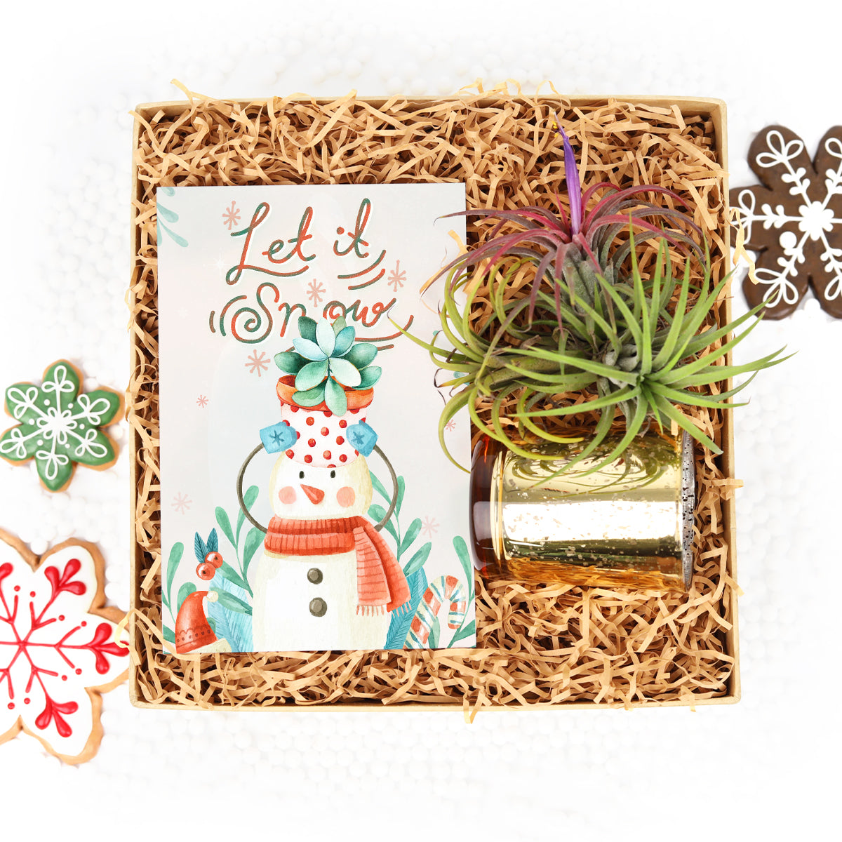 Christmas Succulents, Christmas Succulent Plants, Succulents for Christmas Ideas in 2023, Succulent Christmas Decorations, Succulent Christmas Gift Ideas, Succulent Christmas Gift Box for Sale, Succulent Holiday Gift Box