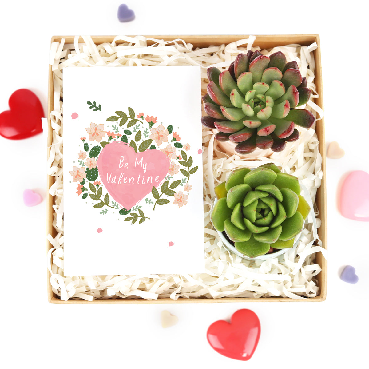succulent valentine gift, personalized valentine gift, valentine gift near me, valentine gift online, succulents for valentine's day, valentine's day succulent gifts, valentine plant ideas