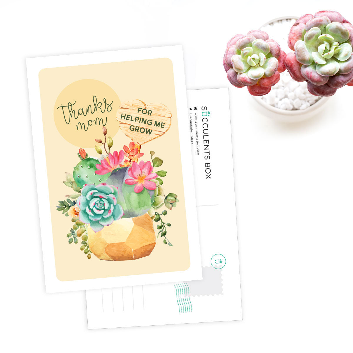 Succulent Happy Mother Day Card for sale, Succulents Greeting Card, Succulents Gift Ideas, THank Mom Card, Happy mother's day cards, Mothers day greeting cards, Mother's day succulent card, Mother's day cards 2023,  Mother's Day card ideas, Succulent mom card
