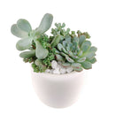 unique diy gifts, valentines succulent arrangement, small succulent arrangement ideas, holiday succulent gifts, succulent themed gifts, succulent pot arrangement, succulent christmas gifts, cactus succulent arrangement, Thank You Gift Dad, Appreciation Gift for Dad