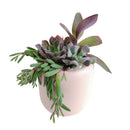 gifts for succulent lovers, succulent bowl arrangement, succulent plant gifts, indoor succulent arrangement ideas, christmas succulent arrangement, valentine's day succulent gifts, send succulent arrangement, mini succulent gifts, mother's day succulent arrangement, Succulent Gift for Men, Thank You Gift Dad, Appreciation Gift for Dad