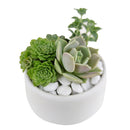 gifts for succulent lovers, succulent bowl arrangement, succulent plant gifts, indoor succulent arrangement ideas, christmas succulent arrangement, live succulent arrangement, succulent garden gifts, colorful succulent arrangement, succulent gifts online, succulent flower arrangement delivery, Gifts for Dad, Father's Day Gifts Delivery 2022, Plant Gifts for Men, Happy Father's Day Gift