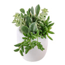 mother's day succulent arrangement, succulent plant arrangement ideas, unique diy gifts, valentines succulent arrangement, small succulent arrangement ideas, holiday succulent gifts, succulent themed gifts, succulent pot arrangement, succulent christmas gifts, cactus succulent arrangement, live succulent arrangement, Succulent Gift for Men, Thank You Gift Dad, Appreciation Gift for Dad