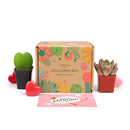Succulents for Sale, Types of Succulents, Succulents Shop in California, Succulents and Cactus Plants, Cactus Box, Subscription Box with Care Instruction, Succulent Subscription Box