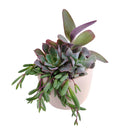 gifts for succulent lovers, succulent bowl arrangement, succulent plant gifts, indoor succulent arrangement ideas, christmas succulent arrangement, valentine's day succulent gifts, send succulent arrangement, mini succulent gifts, mother's day succulent arrangement, Succulent Gift for Men, Thank You Gift Dad, Appreciation Gift for Dad